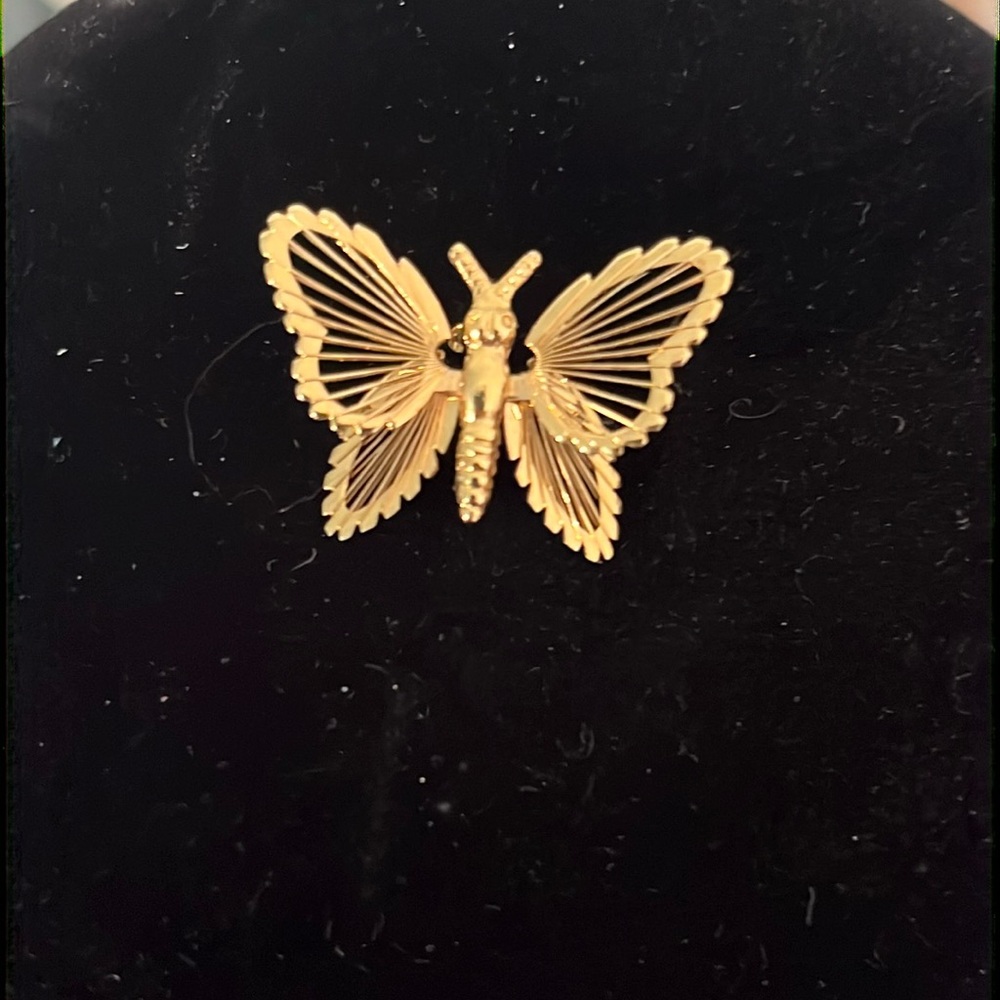 Monet butterfly